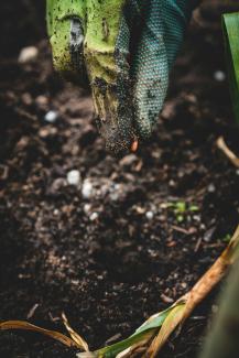 One seed at a time by Jonathan Kemper on Unsplash